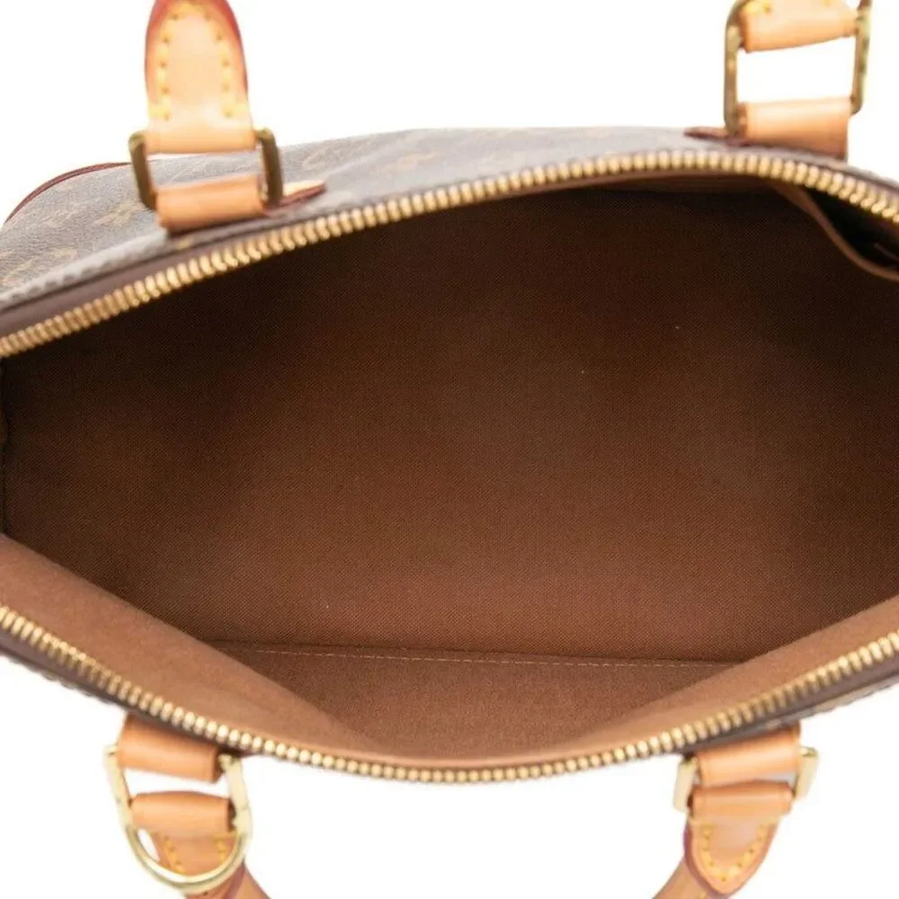 Louis Vuitton Alma PM Monogram Handbag